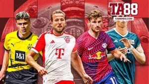 Sảnh Thể Thao P-Sports